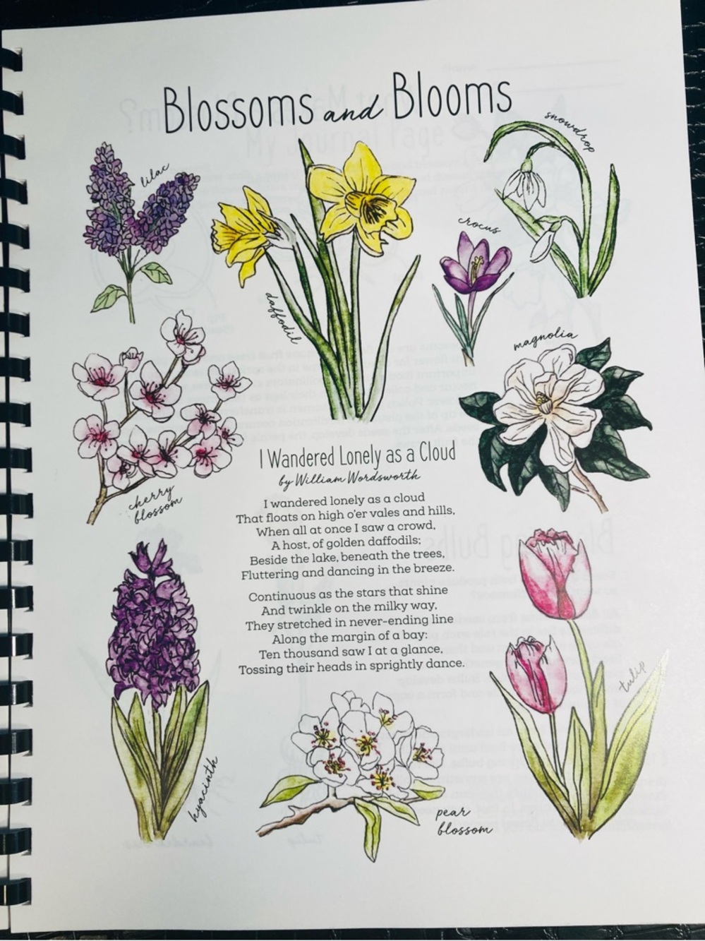 NEW The Seasons Nature Journal The Wild Child’s … 2021 Natalie McCatty - Picture 8 of 14